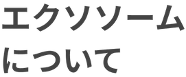 実績紹介 & お客様の声